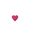 DREAM TEAM