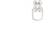 Lapin dans le sac