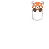 Panda in the bag