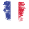 Drapeau de la France