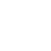 dog trainer