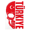 Turkey Flag Skull Turkiye Skull