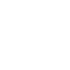 Fleischer