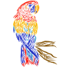 Parrot