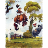 PonyRodéo Thelwell Dessin