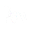 cheval | cheval | caballo