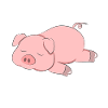 Pig Chill