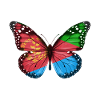 Butterfly Flag Of Eritrea