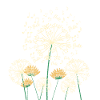 Flöte Pusteblume