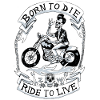 moto borntoride