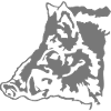 wildschwein0