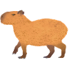 Capybara 01