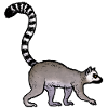 Lemurien / Lemur 02