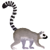 Lemurien / Lemur 01