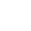 Dachshund shirt