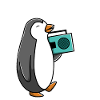 Singing penguin with radio