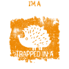 Hedgehog Autumn