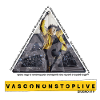 VASCO TRIANGLE