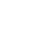 40 wappen krone