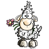 Funny Sheep