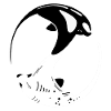 Manta Rochen