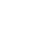 stepfather