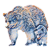 Bär