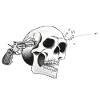 Crâne de pistolet