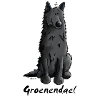 Drolliger Groenendael