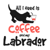 Labrador