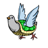 turtle dove turtle dove