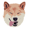 Akita