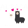 Alpaca love Alpaka