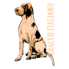 Bracco Italiano