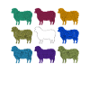 Black Sheep Black Sheep