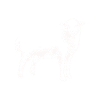 Black sheep