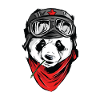 Pilote panda