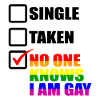 Single & Awarded Rainbow LGBT Pride Gift