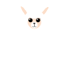Alpaga alpaga Alpaca