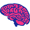 cerveau cervelle 1501