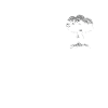 Evolution - Gegen Krieg, Atompilz - Frieden