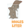 Two Moles Per Liter