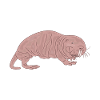 Naked mole advice