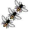 flying bees