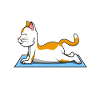Cat yoga
