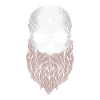Skull with beard