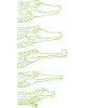 crocodile