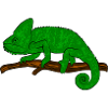 Chameleon