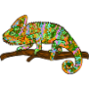 caméléon