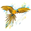 parrot ara